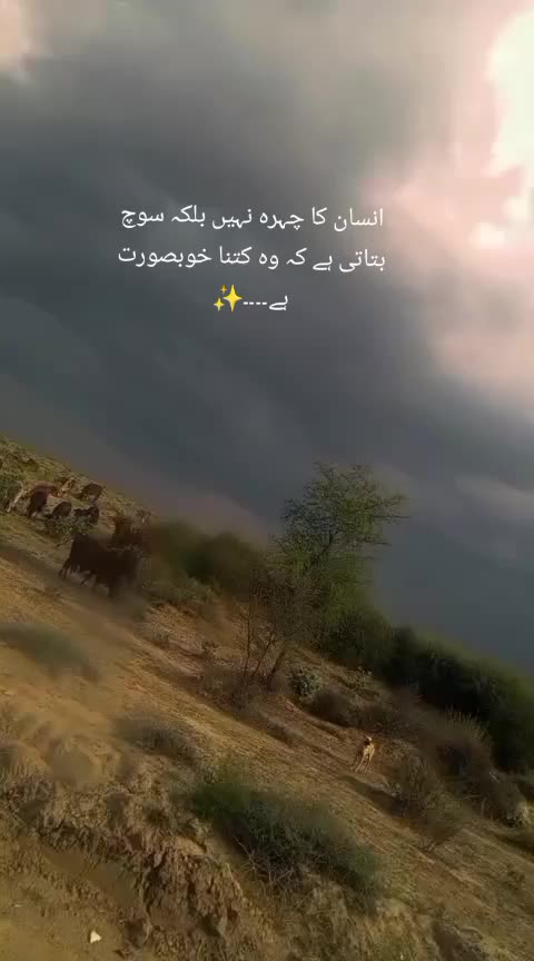 @Amber Ghaffar