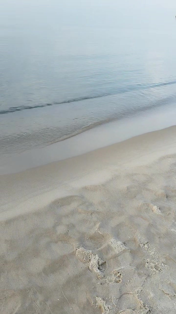 @sylwiaosinska873