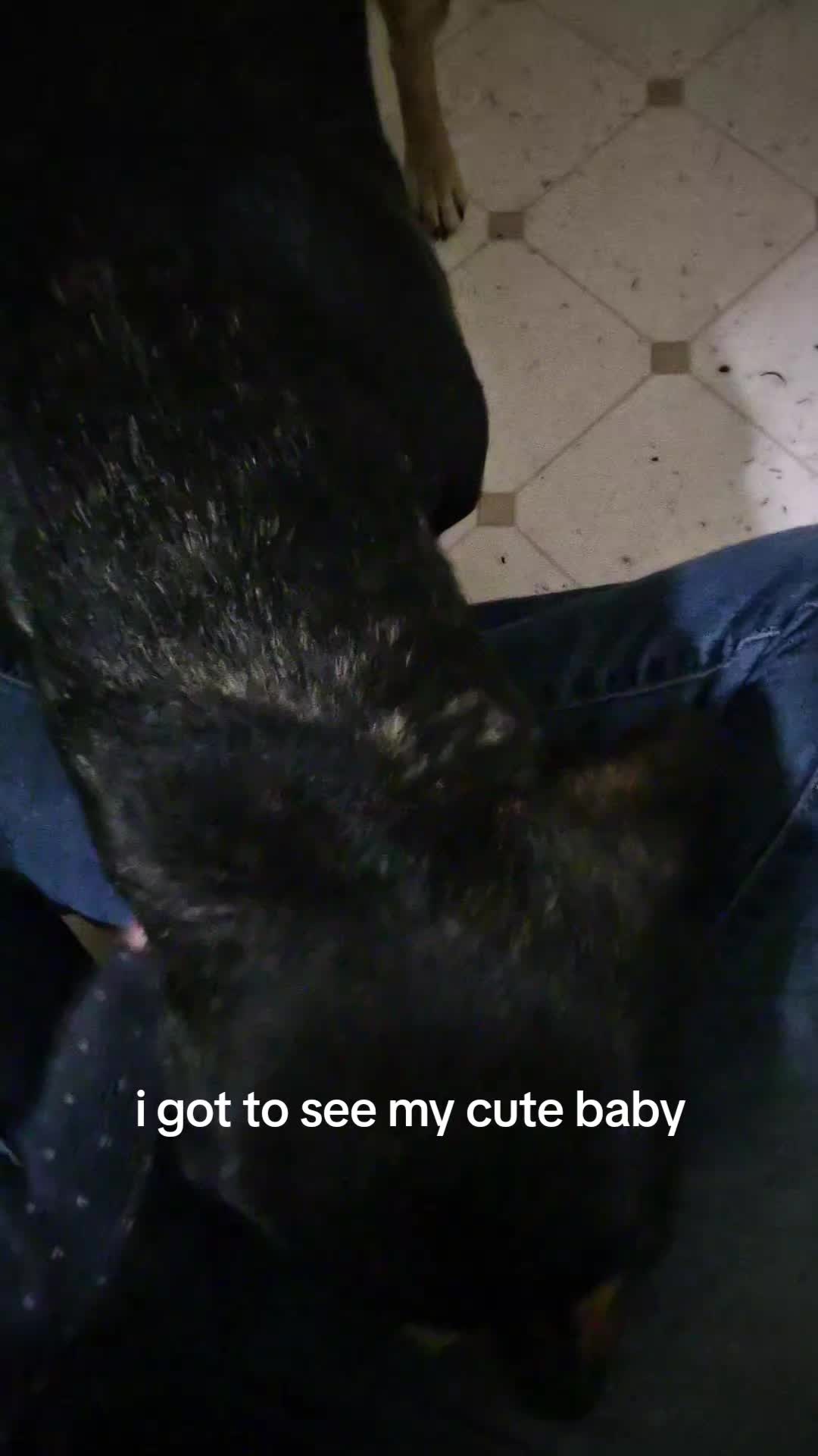 @kengi 🐶