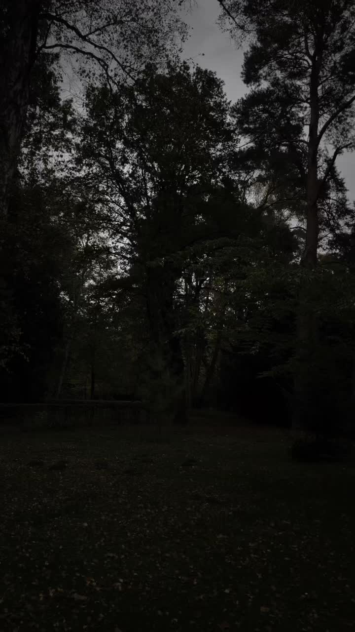 @⠀