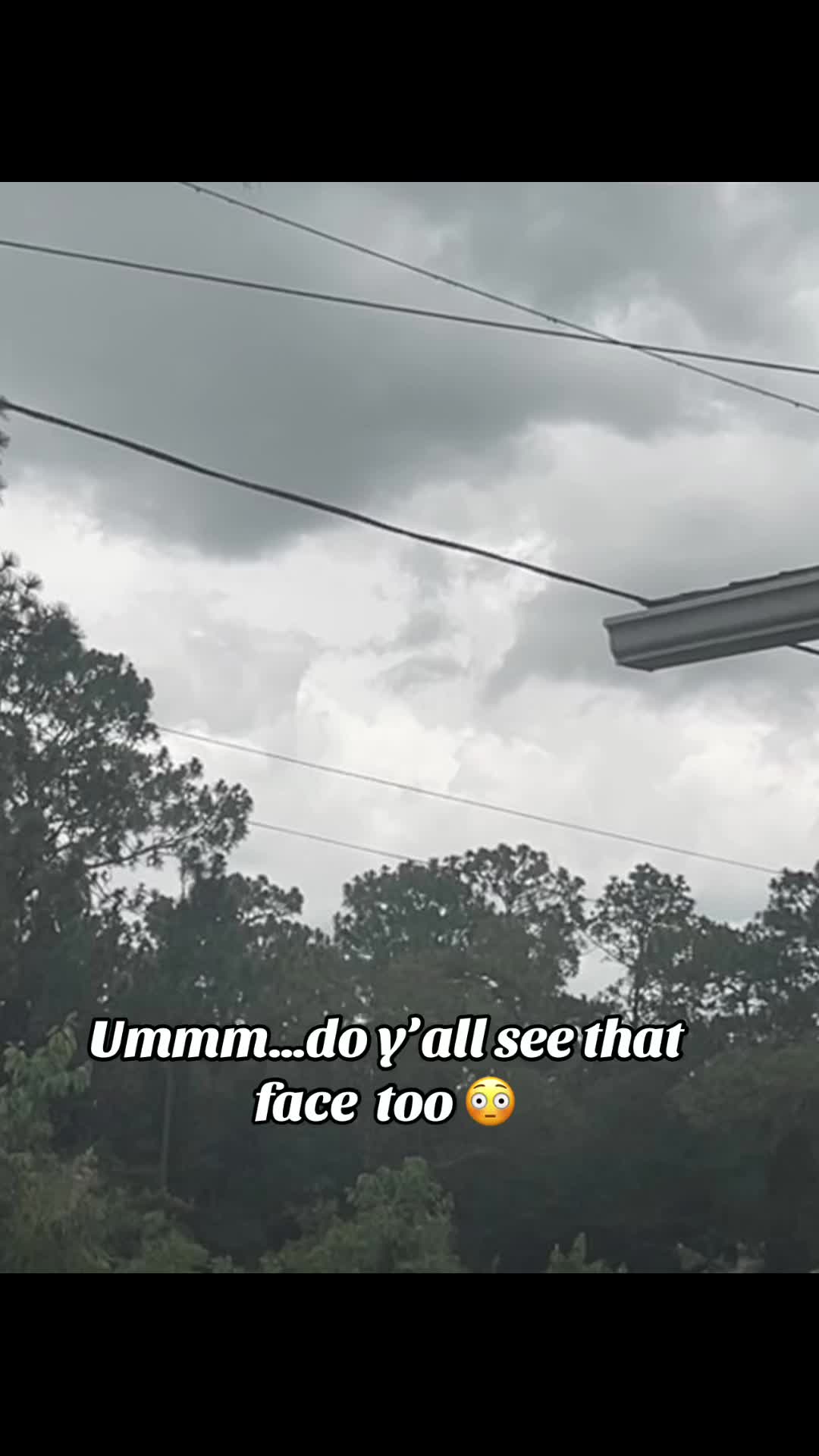 @InsaneRhondaLane