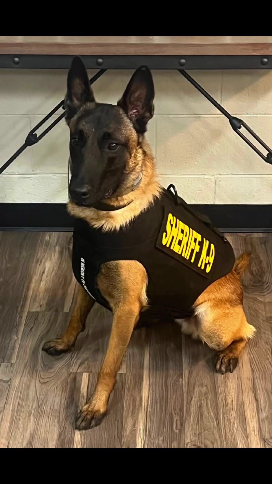 @Vested Interest in K9s, Inc.