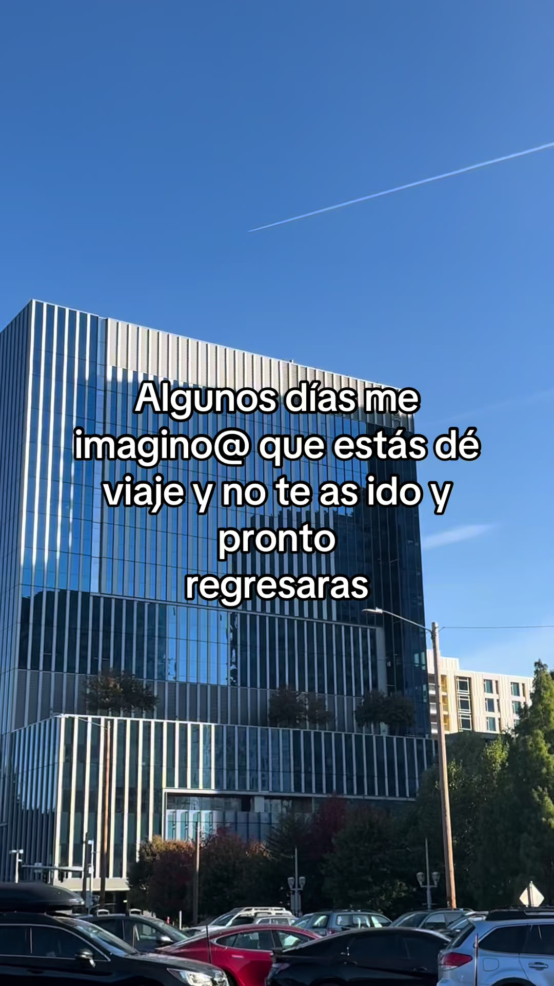 @🍓🪗✨pablocarbajal63⚜️👽🍓