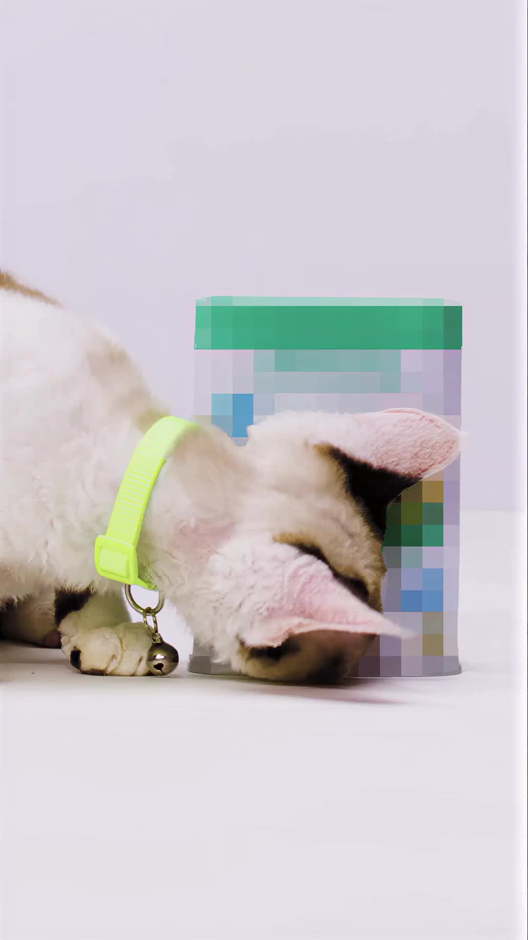 @Native Pet