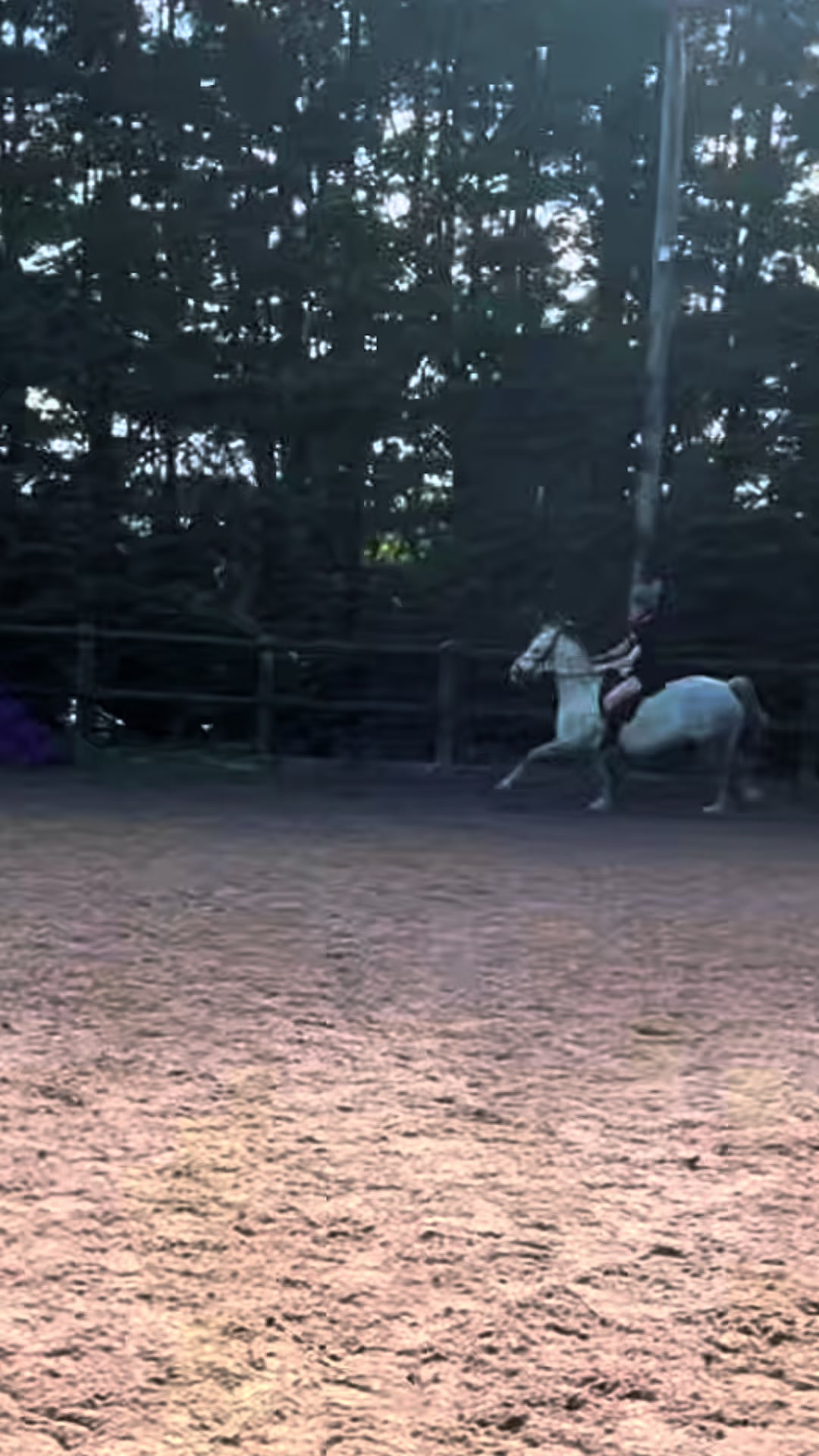 @poppy🐴 🇬🇧
