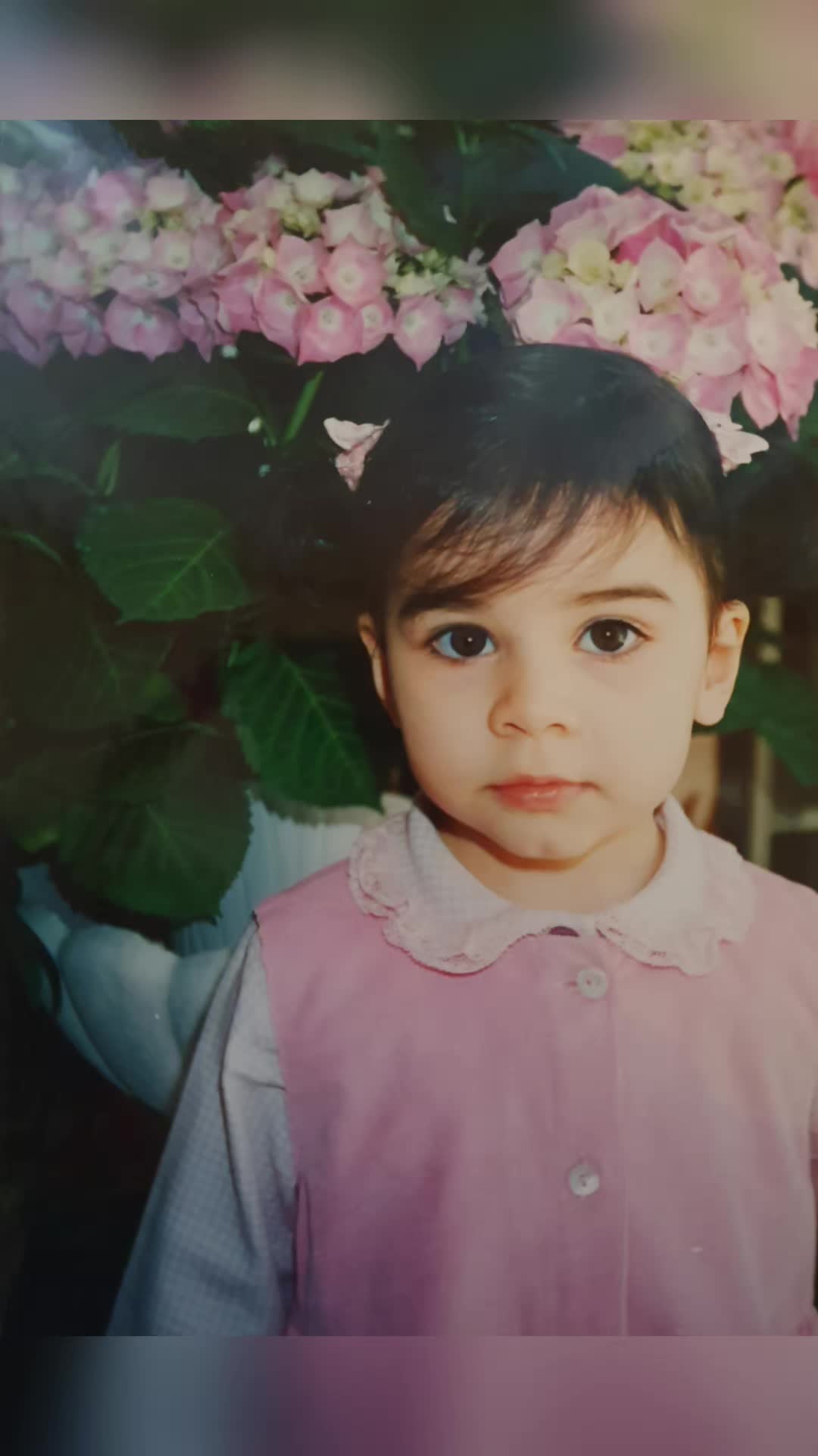 @ALE