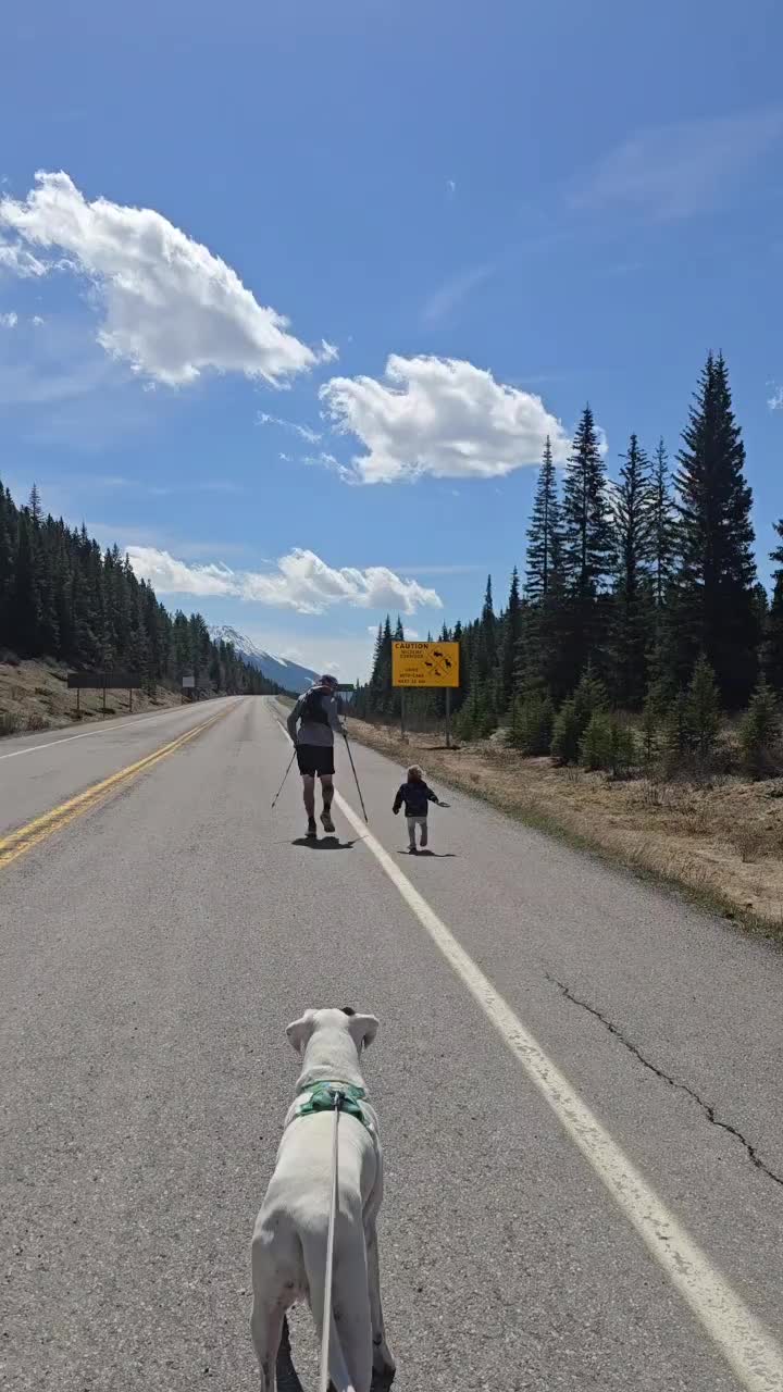 @Banff Trail Runing & Wildlife