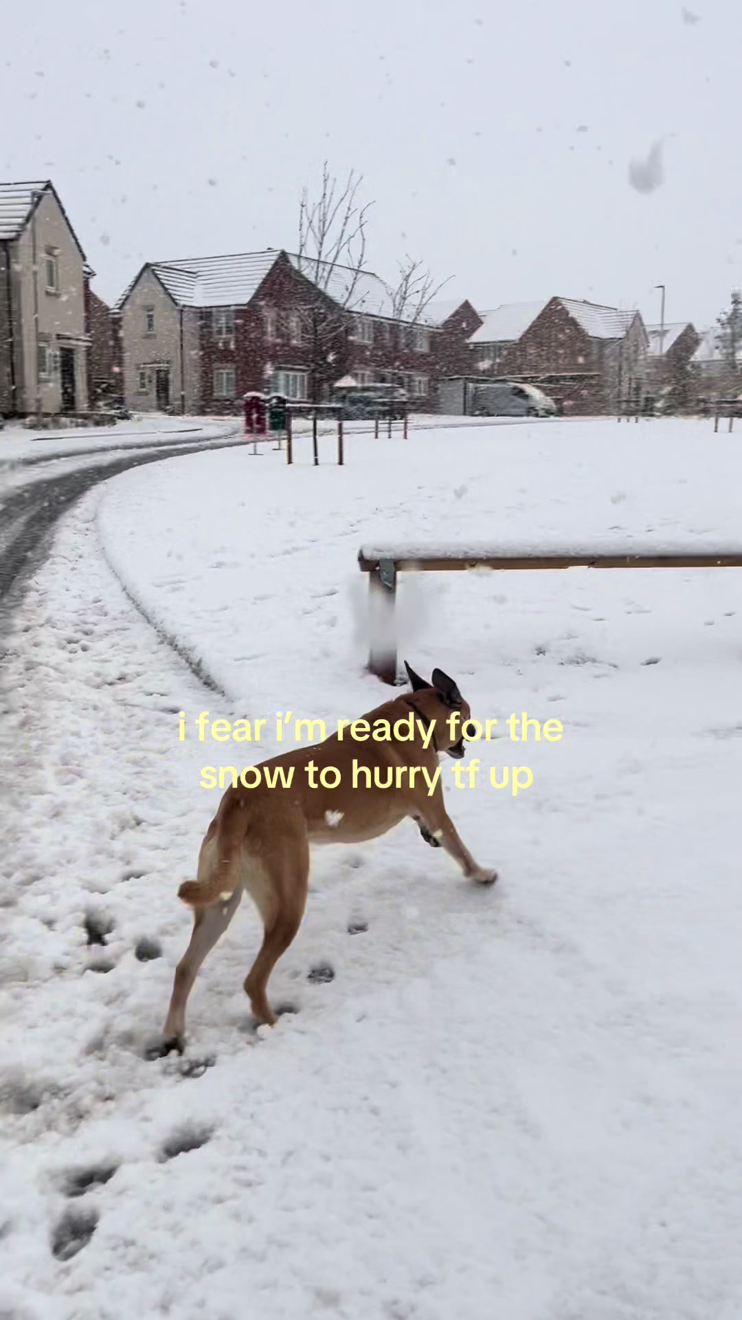 @sarah