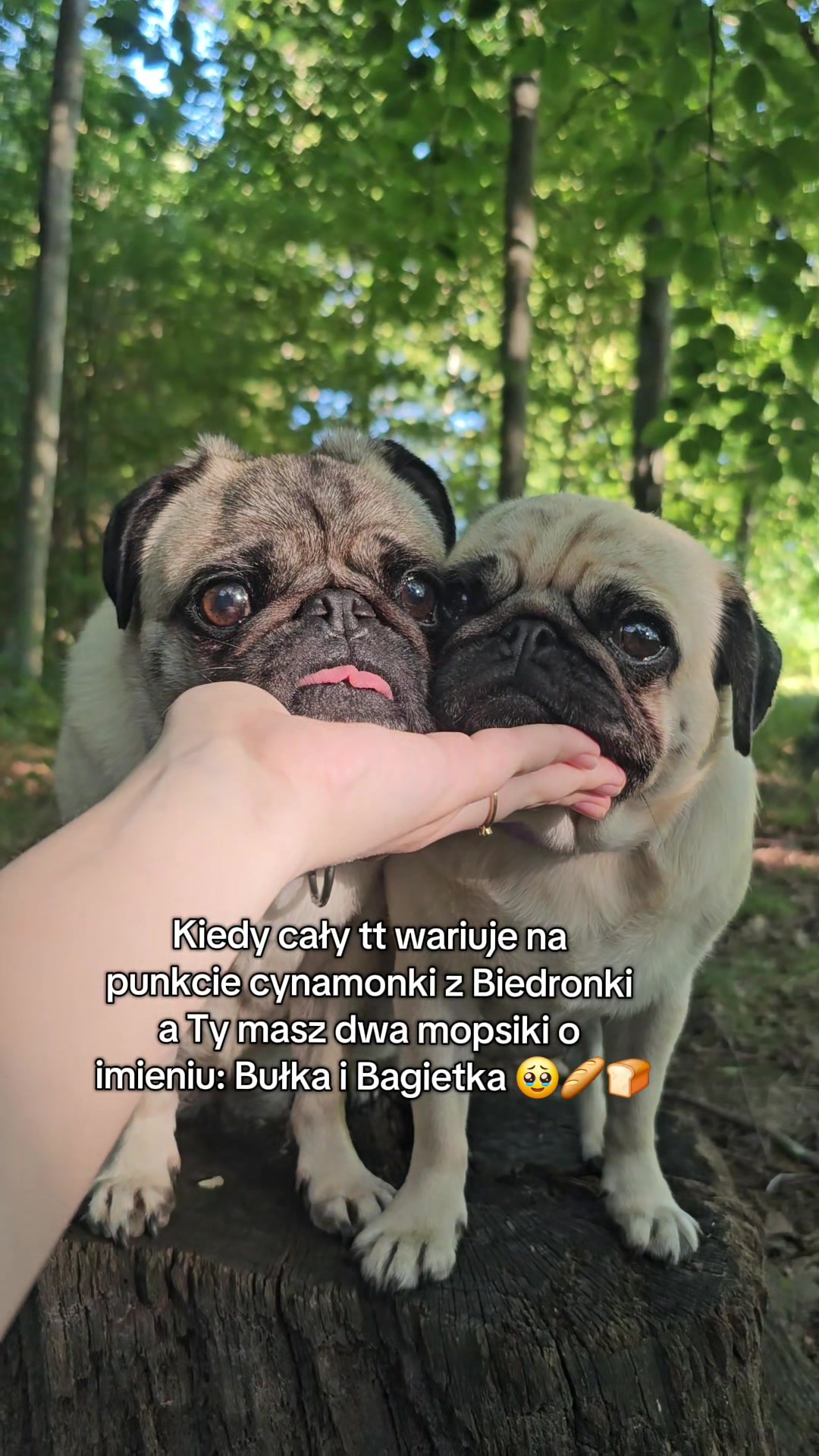 @Wesołe pieczywo