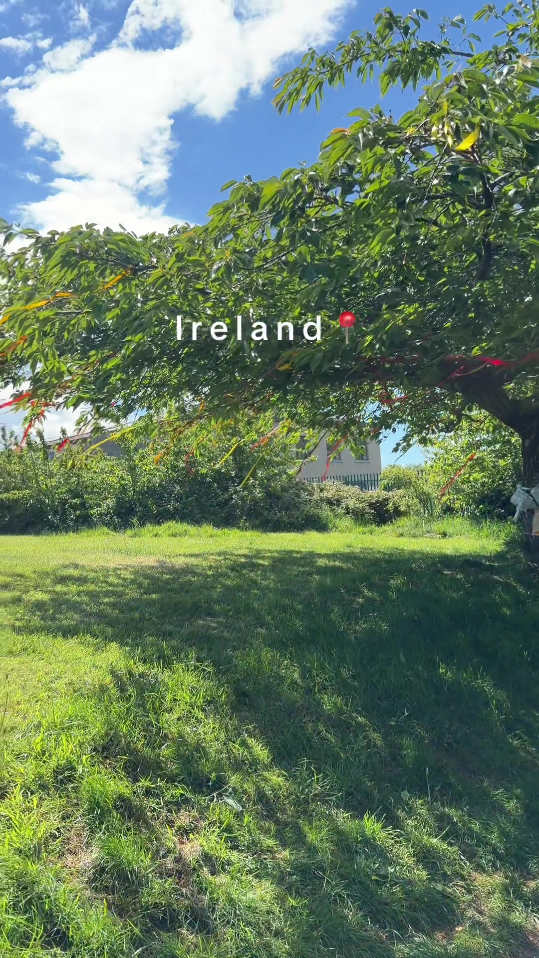 @travelwitherci