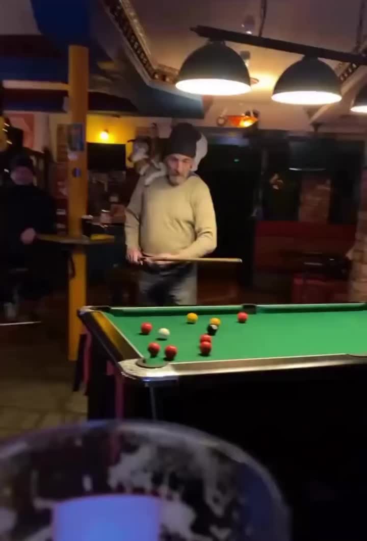 @CrazyBritishCulture