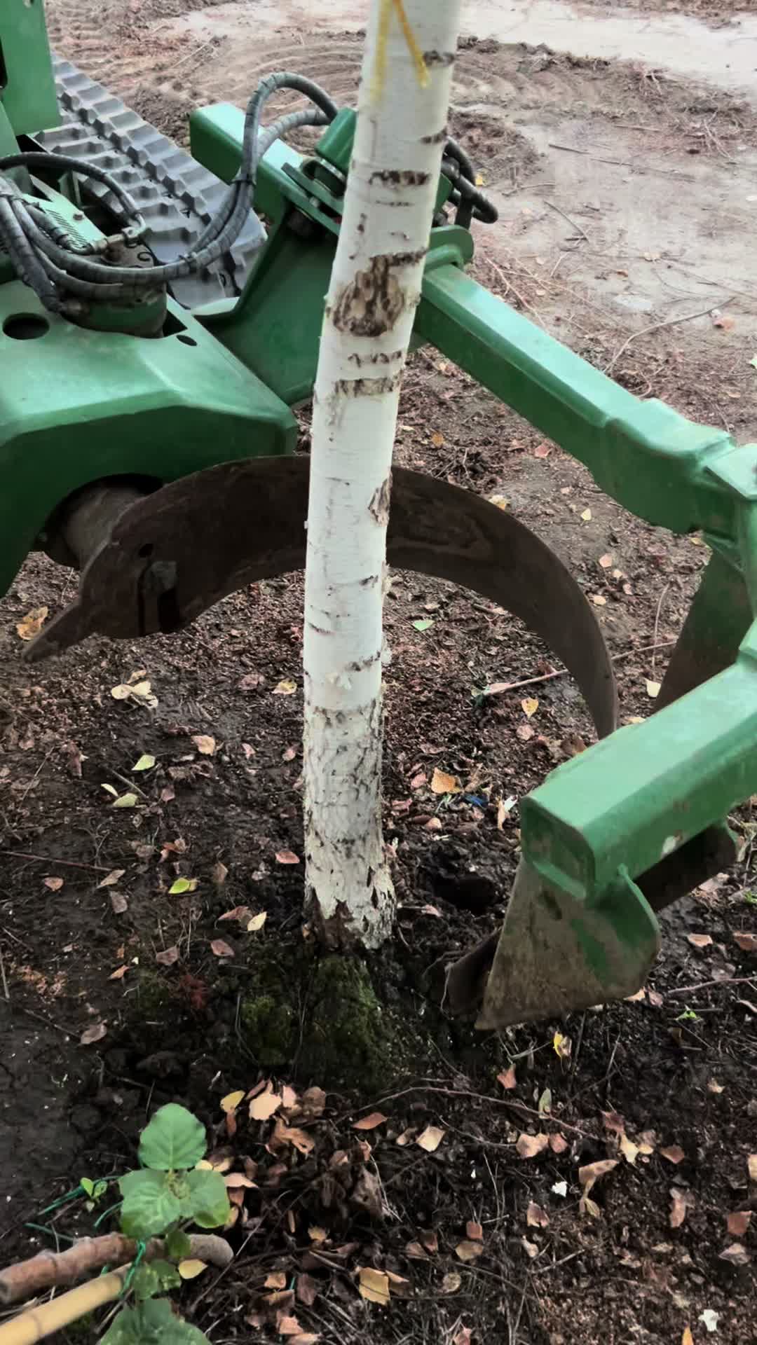 @Plantează
