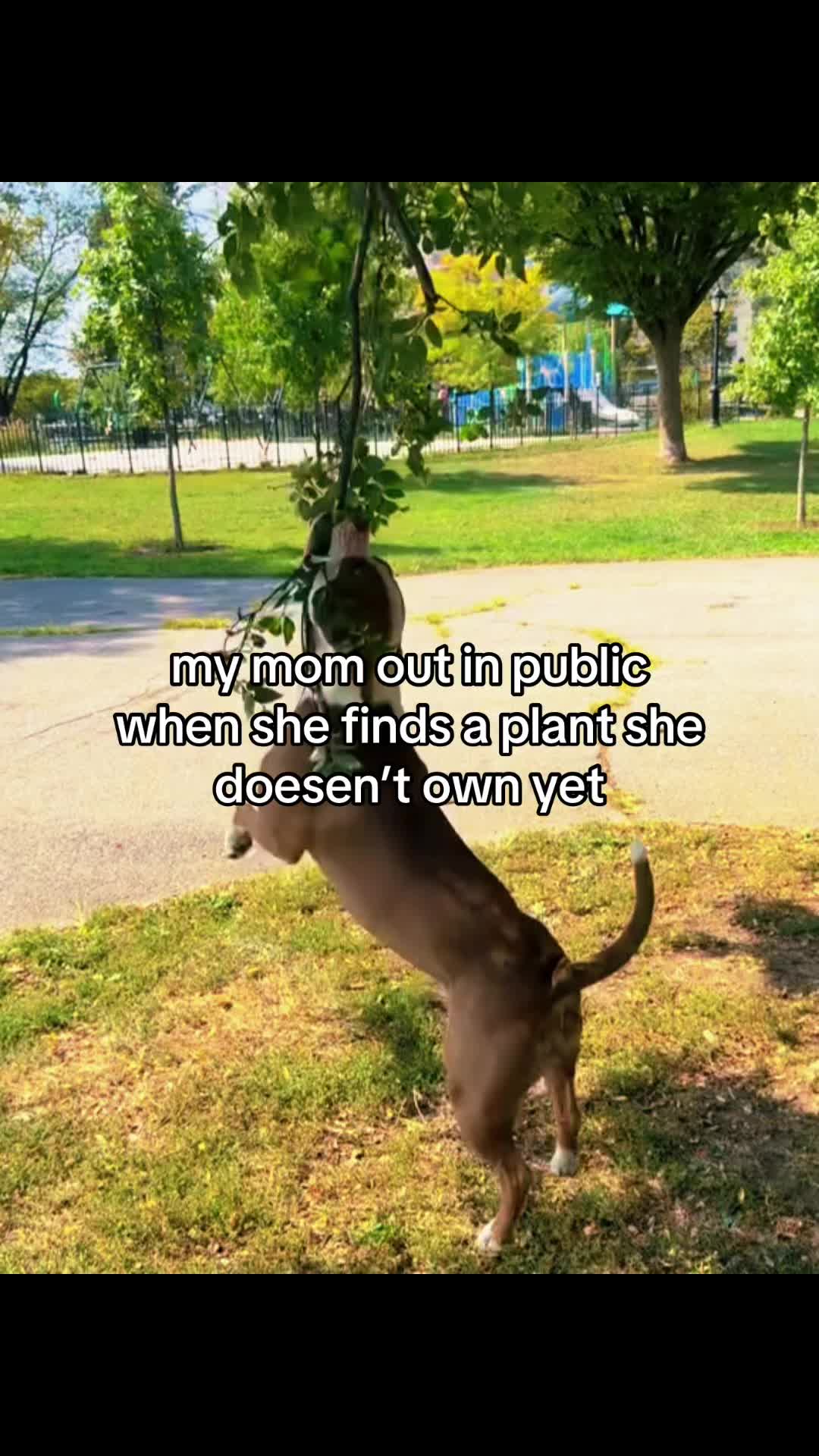 @$$$$$$