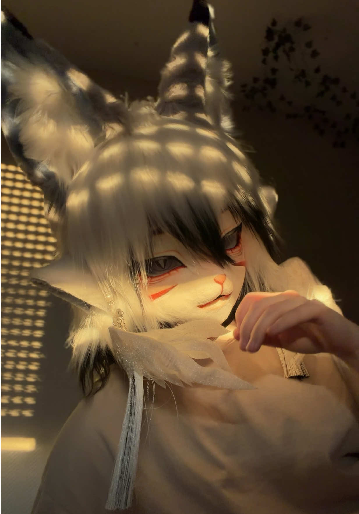 @felix 💤