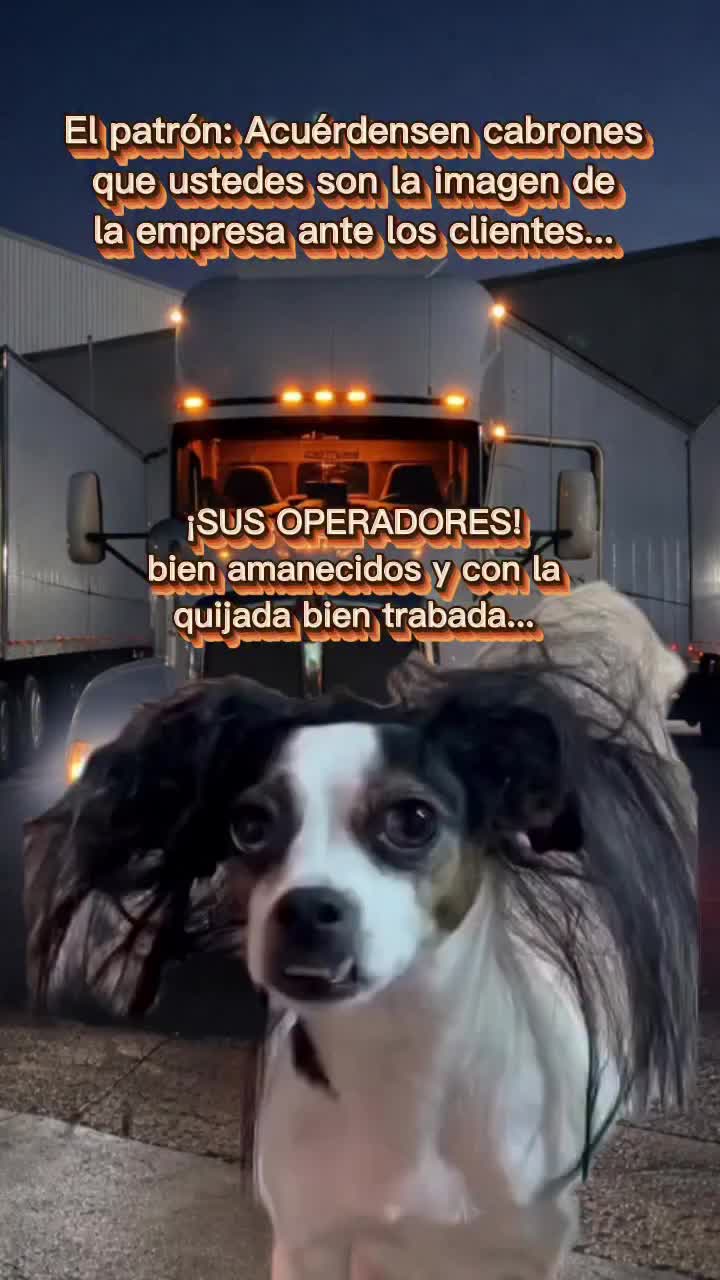 @Nancy's Trucking and permits