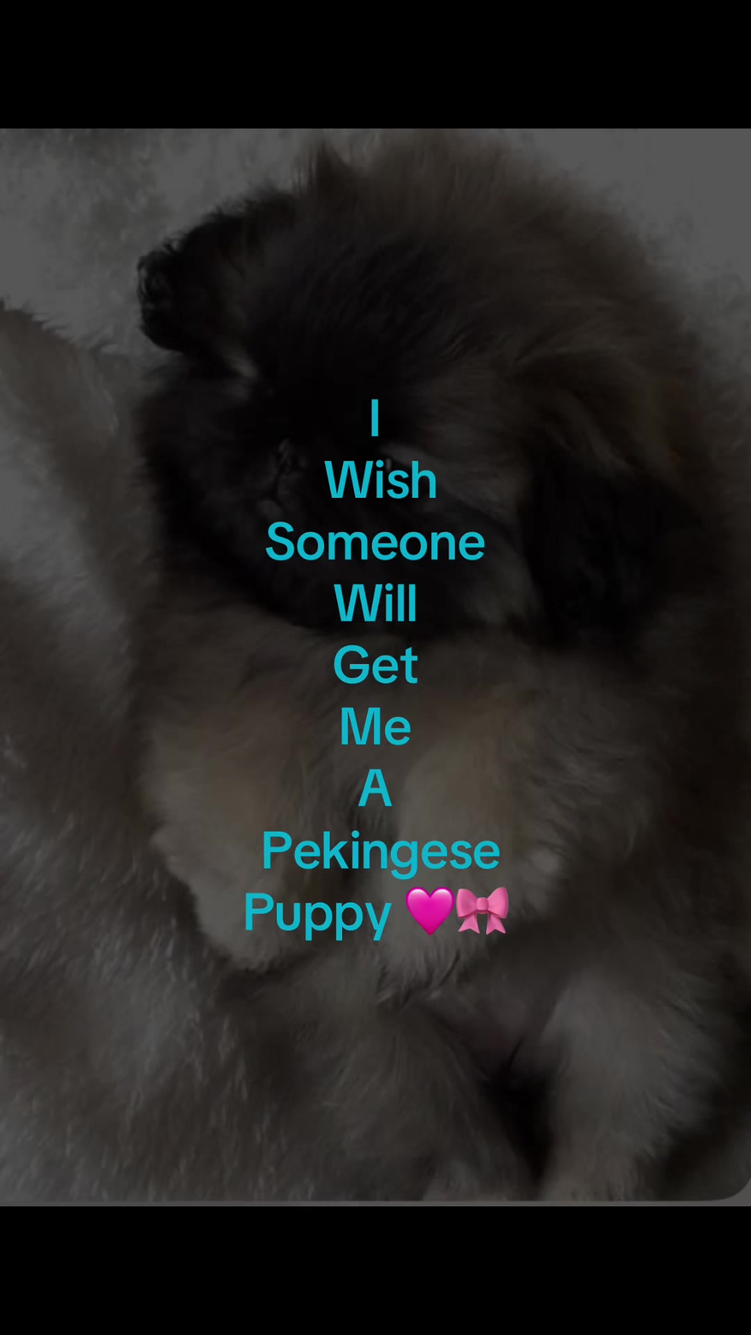 @Rosanna and Bella ✨🩷