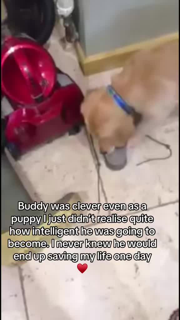 @Happy buddy
