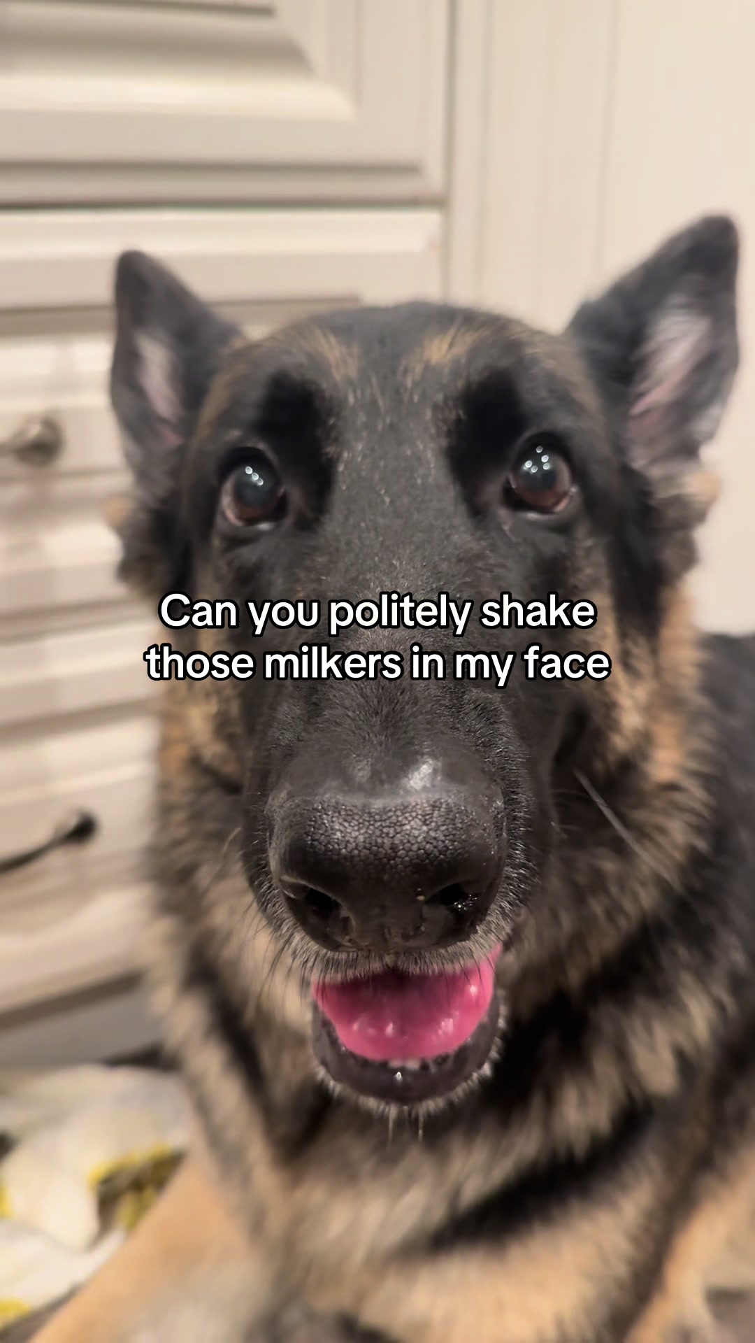@Bhris