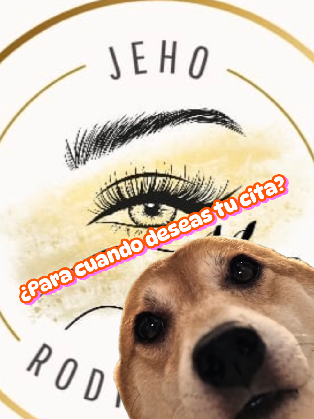 @Jeho Rodríguez