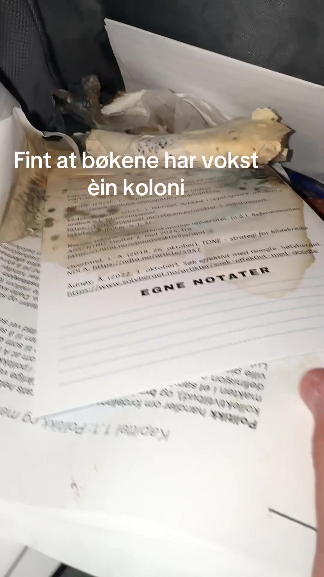 @stavangarkrigar