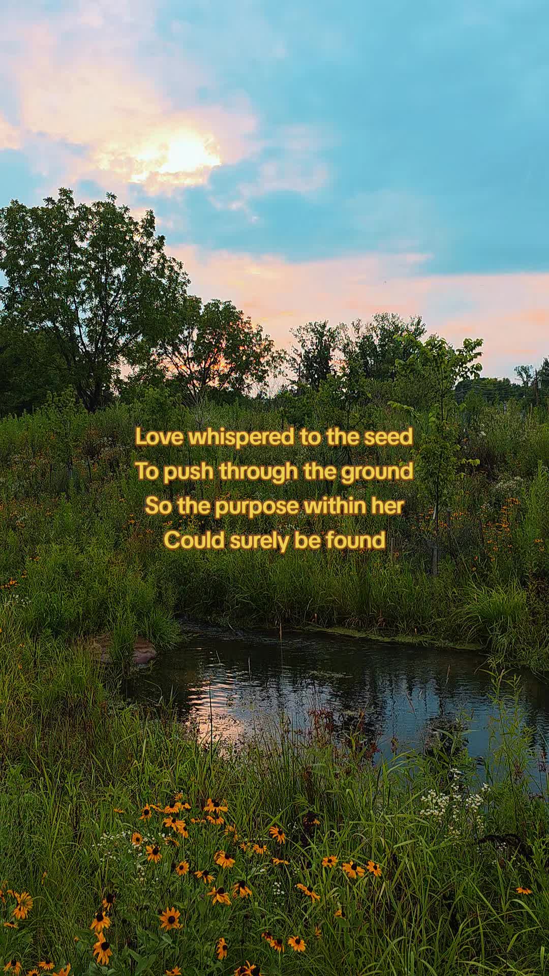 @bill_thepoet💙
