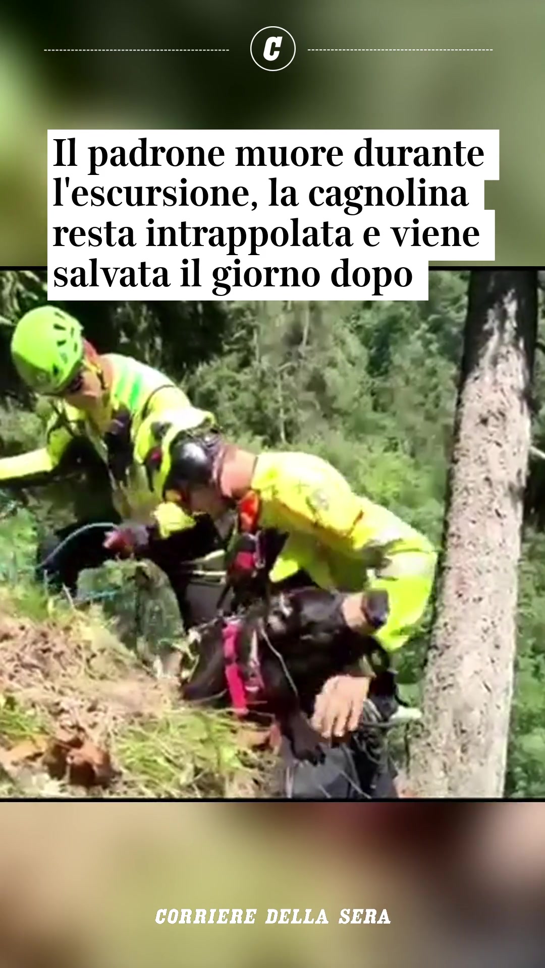 @Corriere della Sera