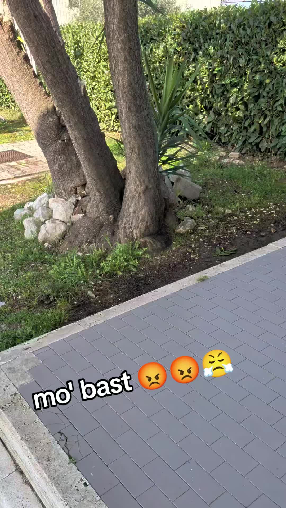 @DiegoVibes