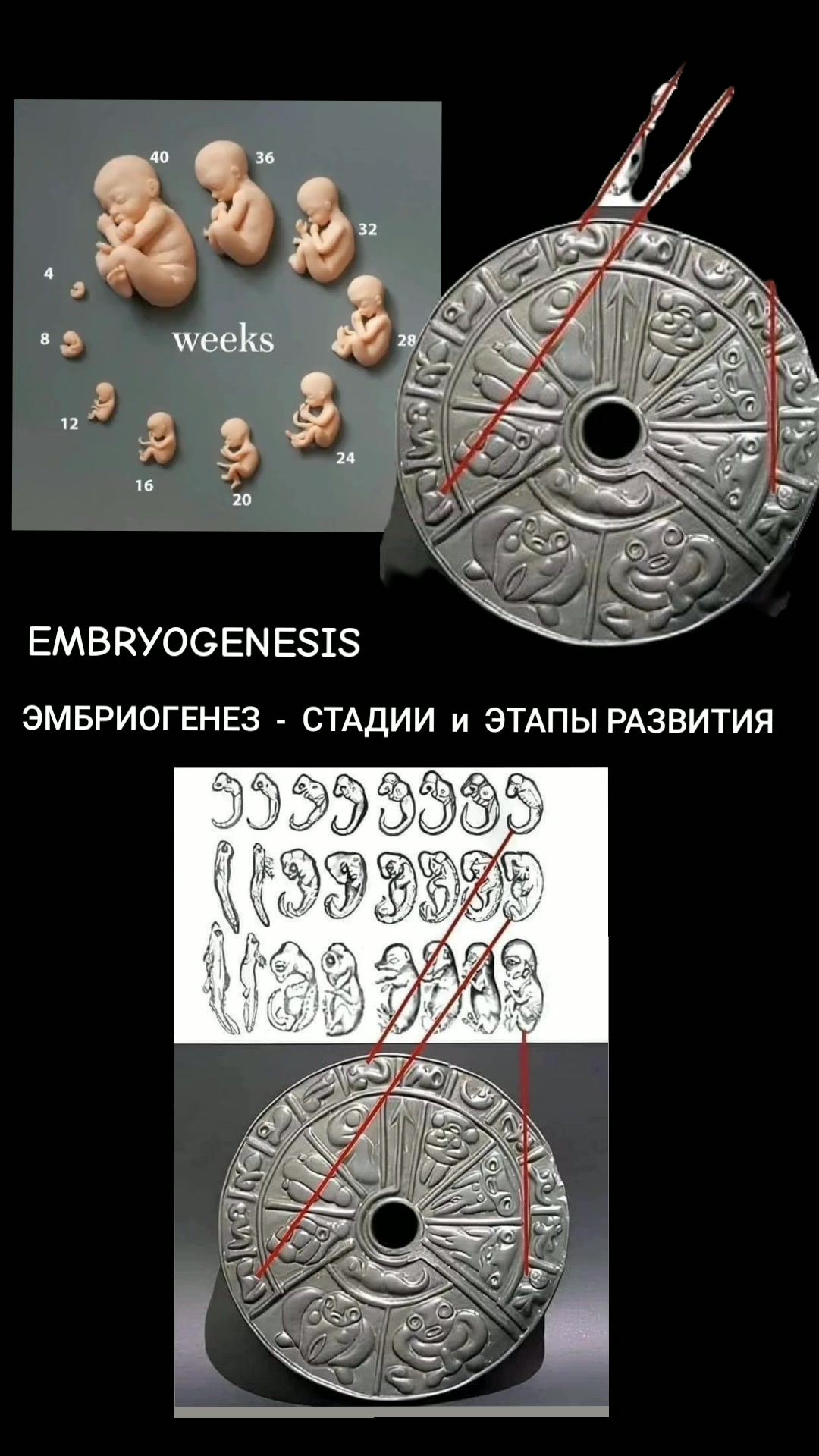 @ОЛЬГА ВЕЛЖИЧ