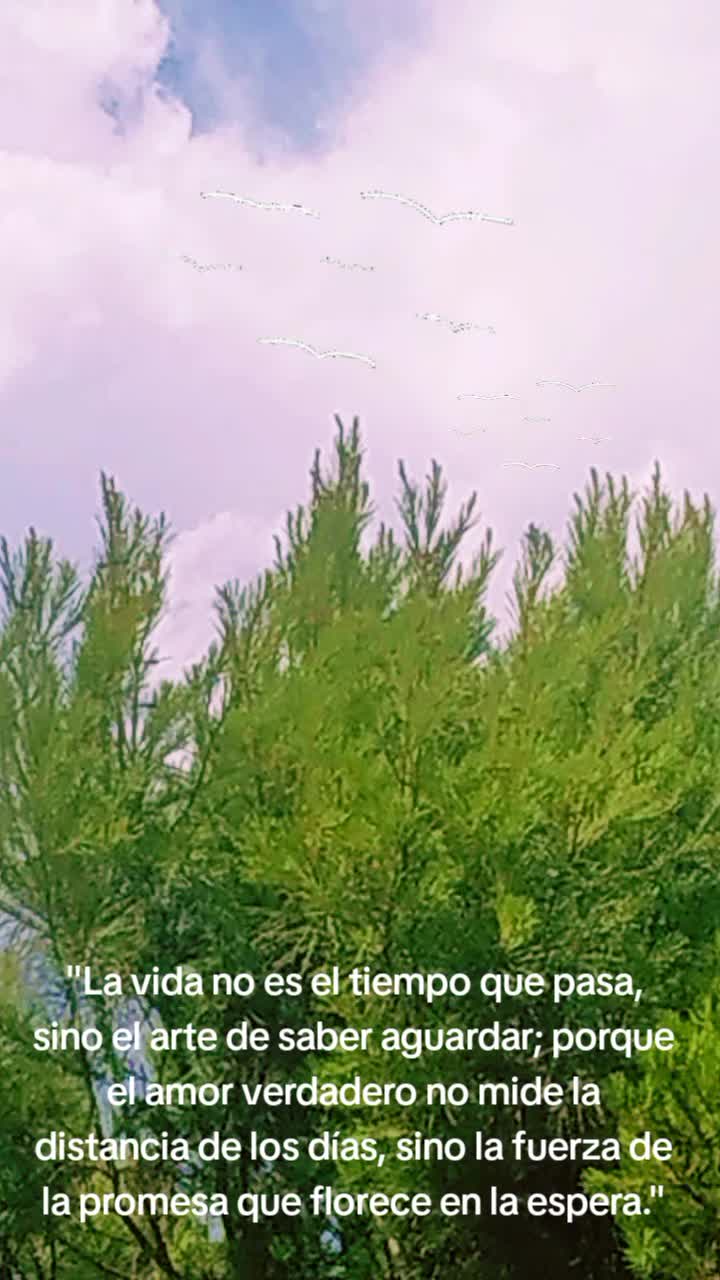 @R&M