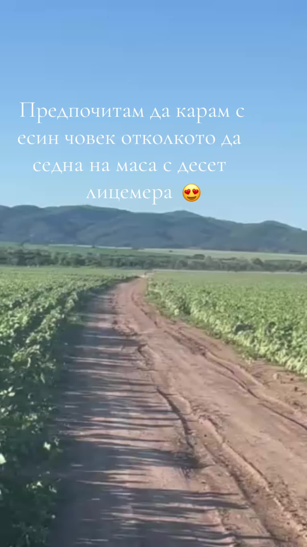 @Stasi_velinova