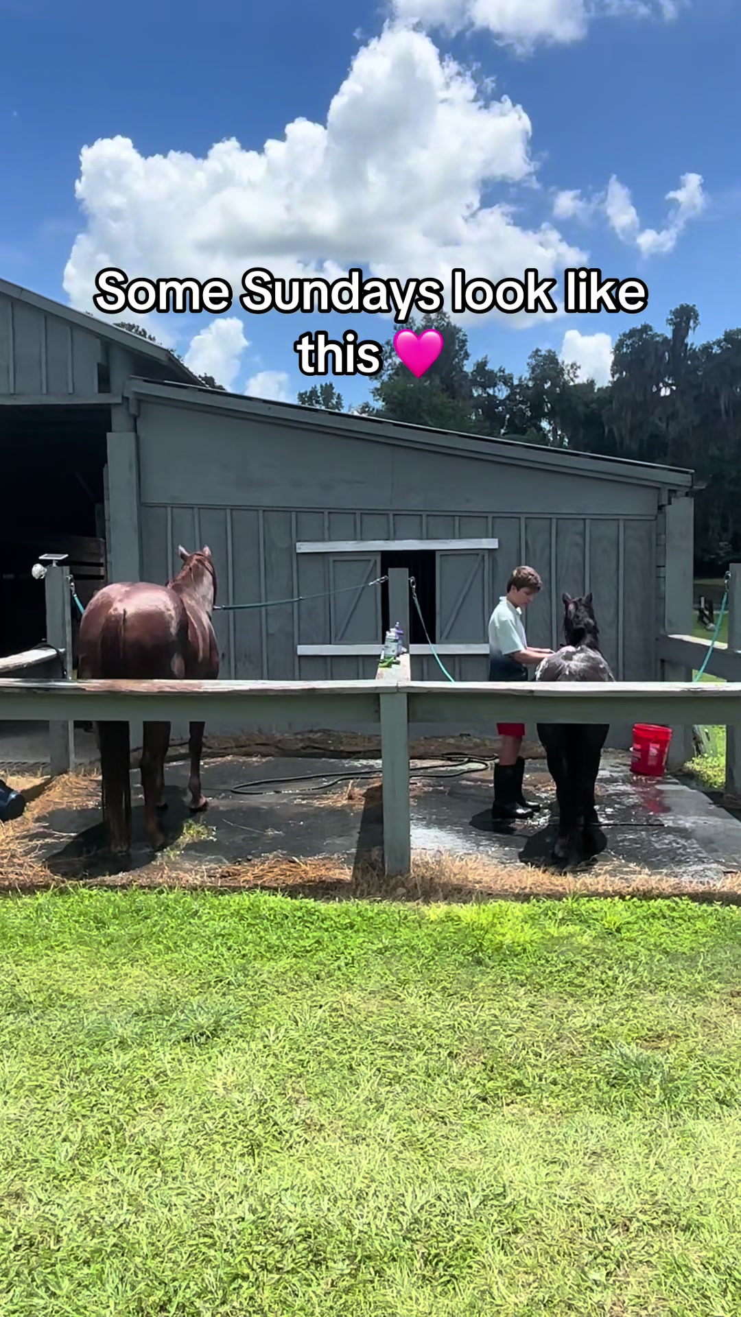 @itiswellstables