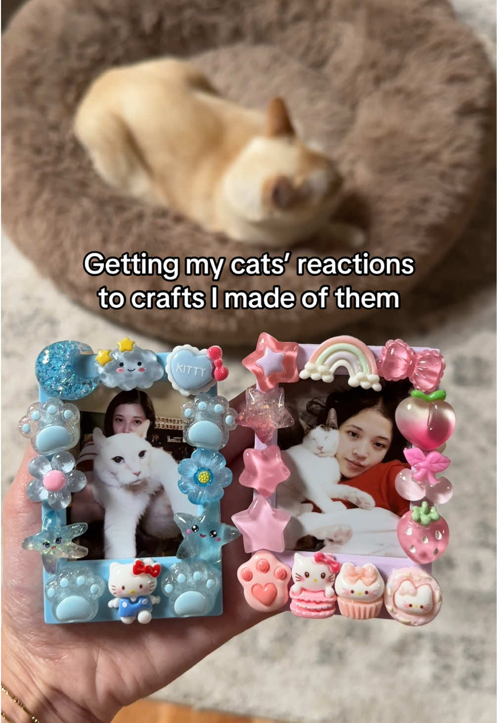 @Angel the Cat Mom