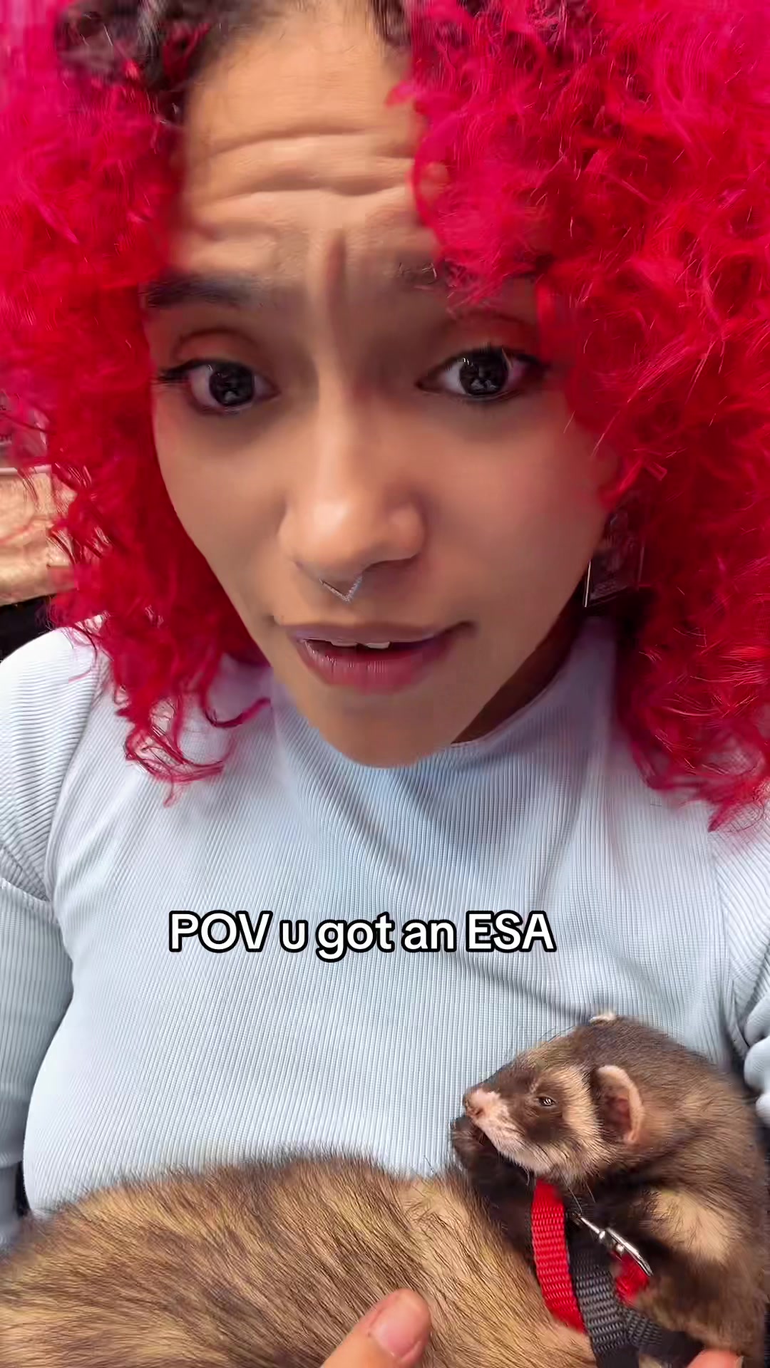 @MixedDepoBabi