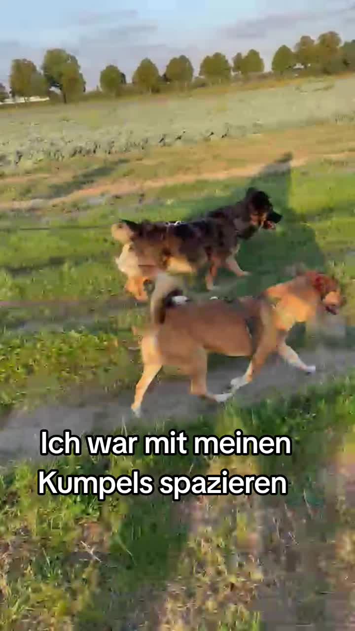 @Fellnasen WG