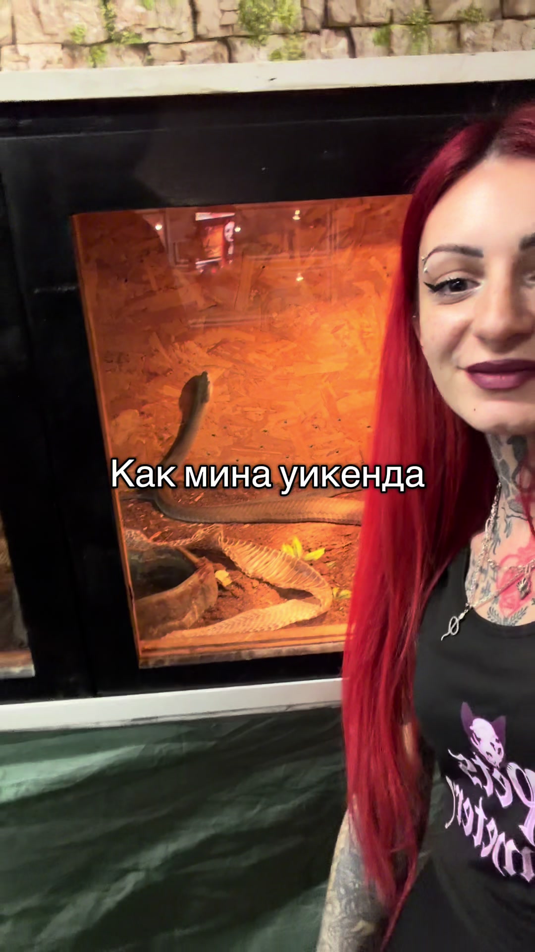@RebelQueen