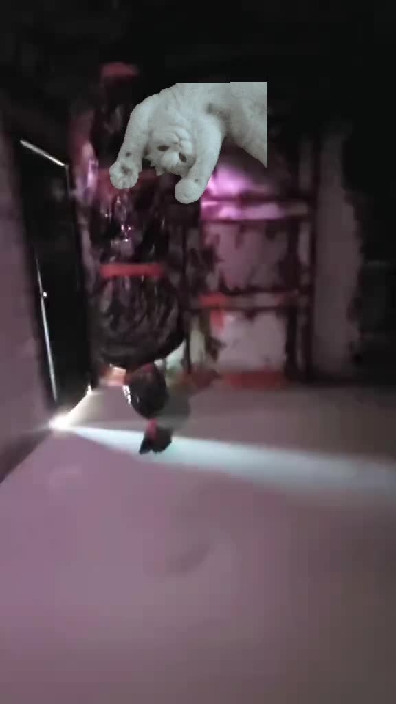 @entity