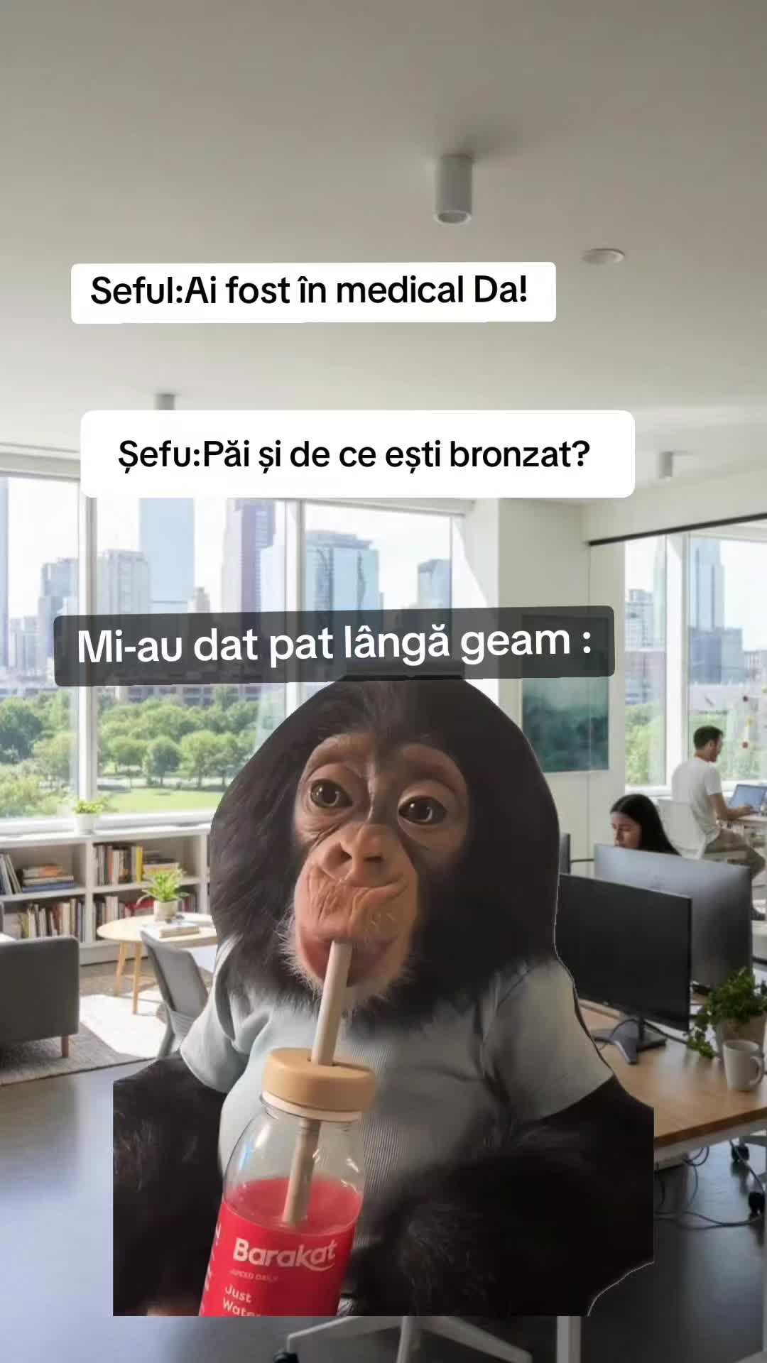 @Roar