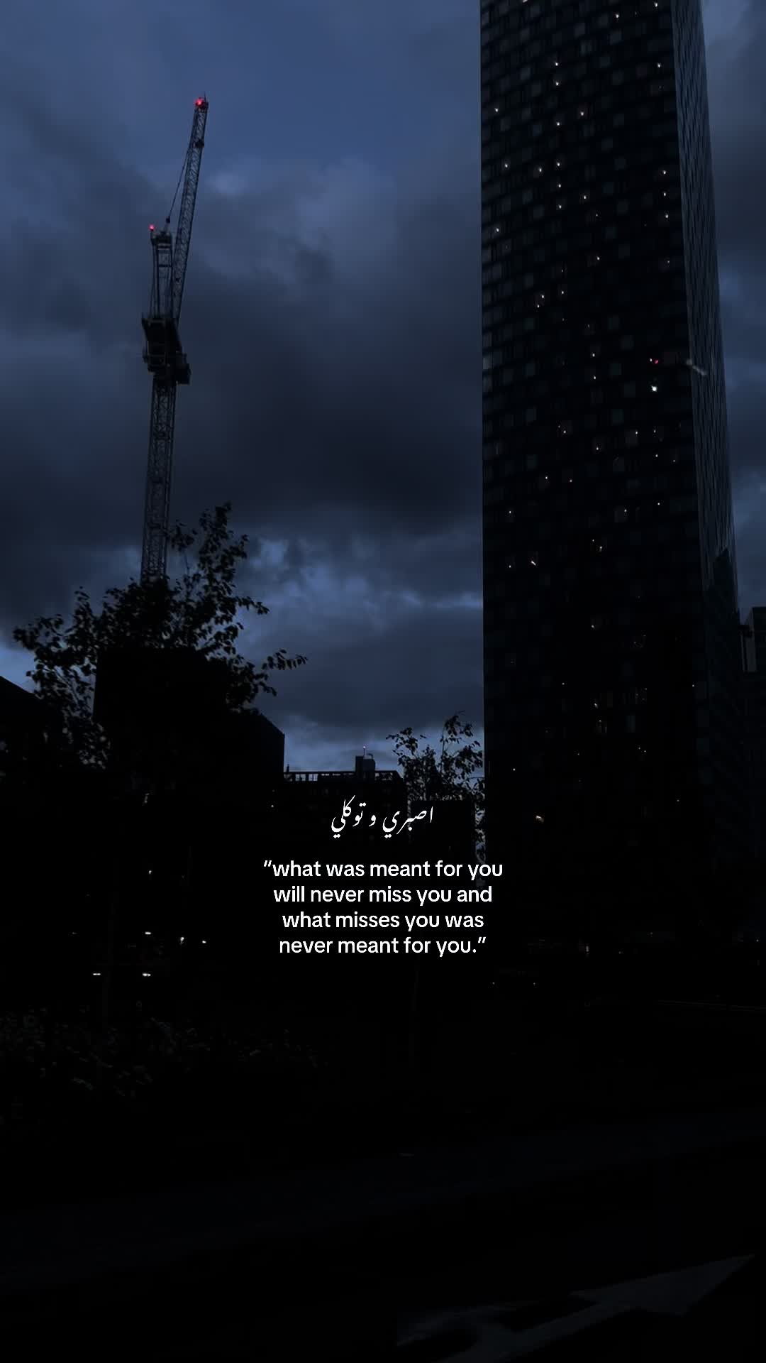 @No Doubt🕊️