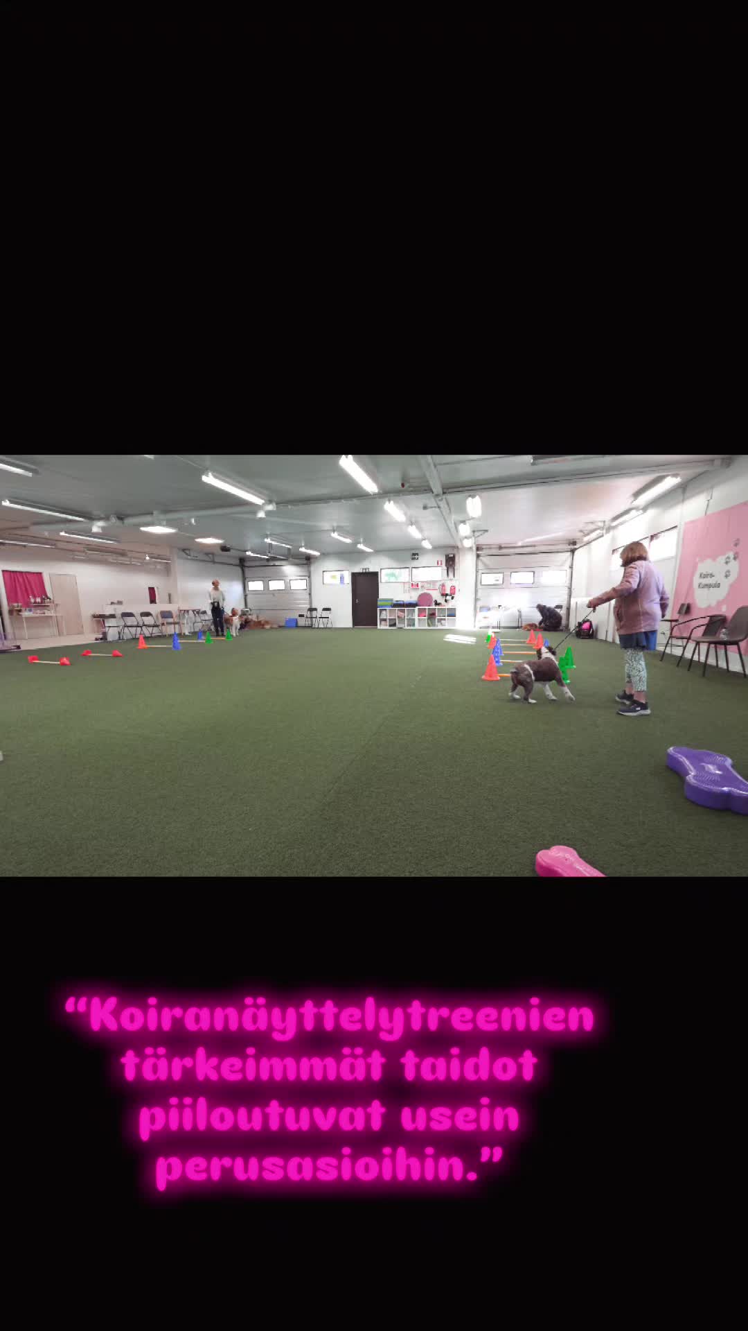 @Erja