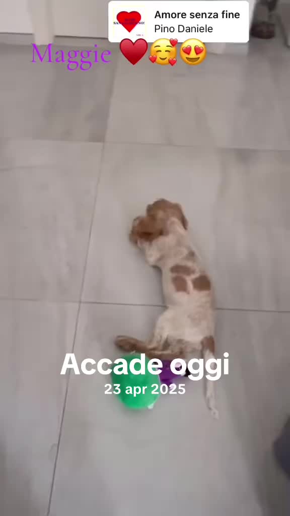 @Roberta Micucci