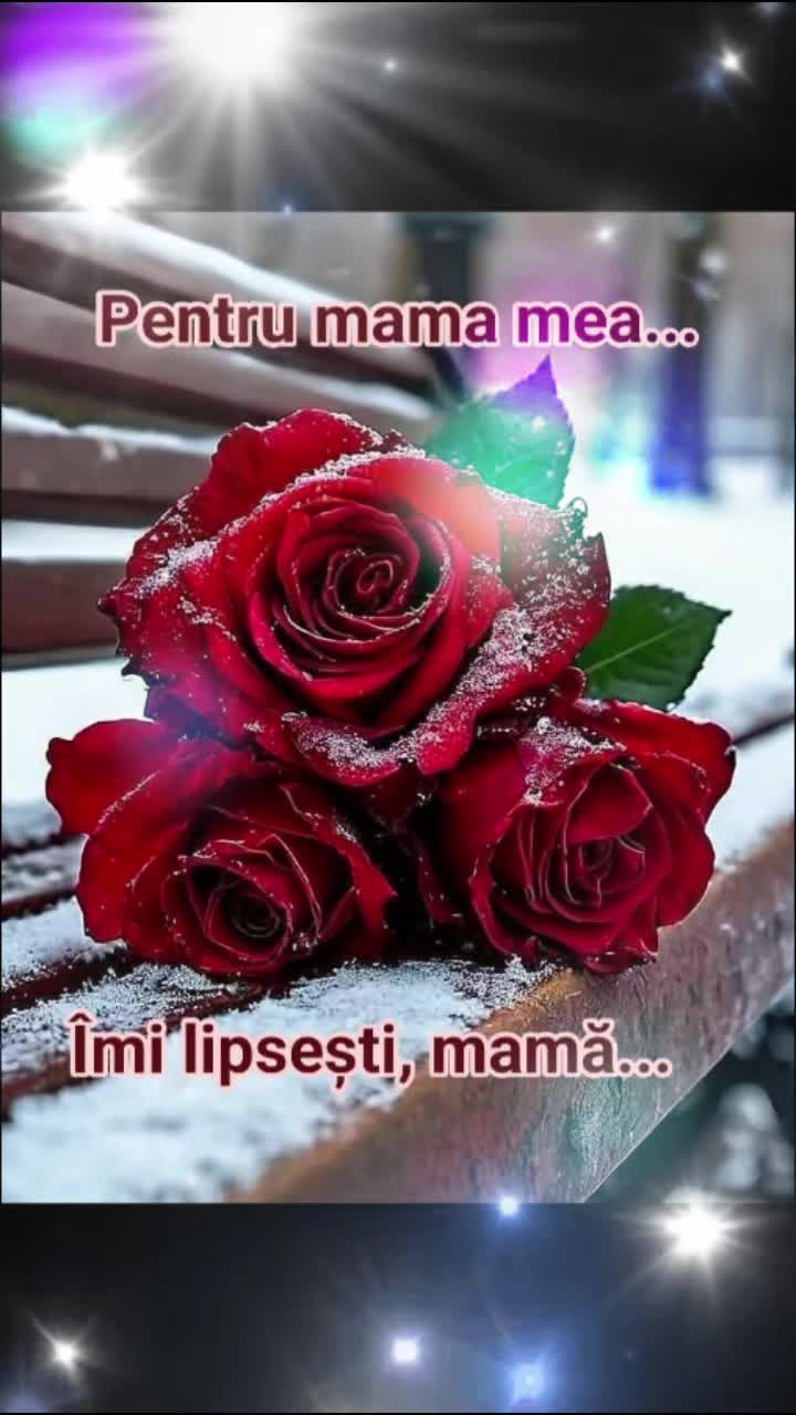 @Flory Flory❤️