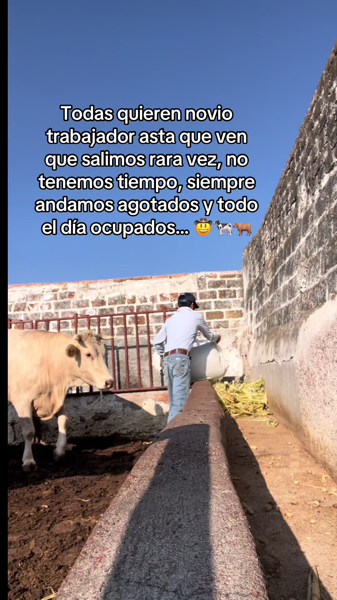 @Cristian Almanza