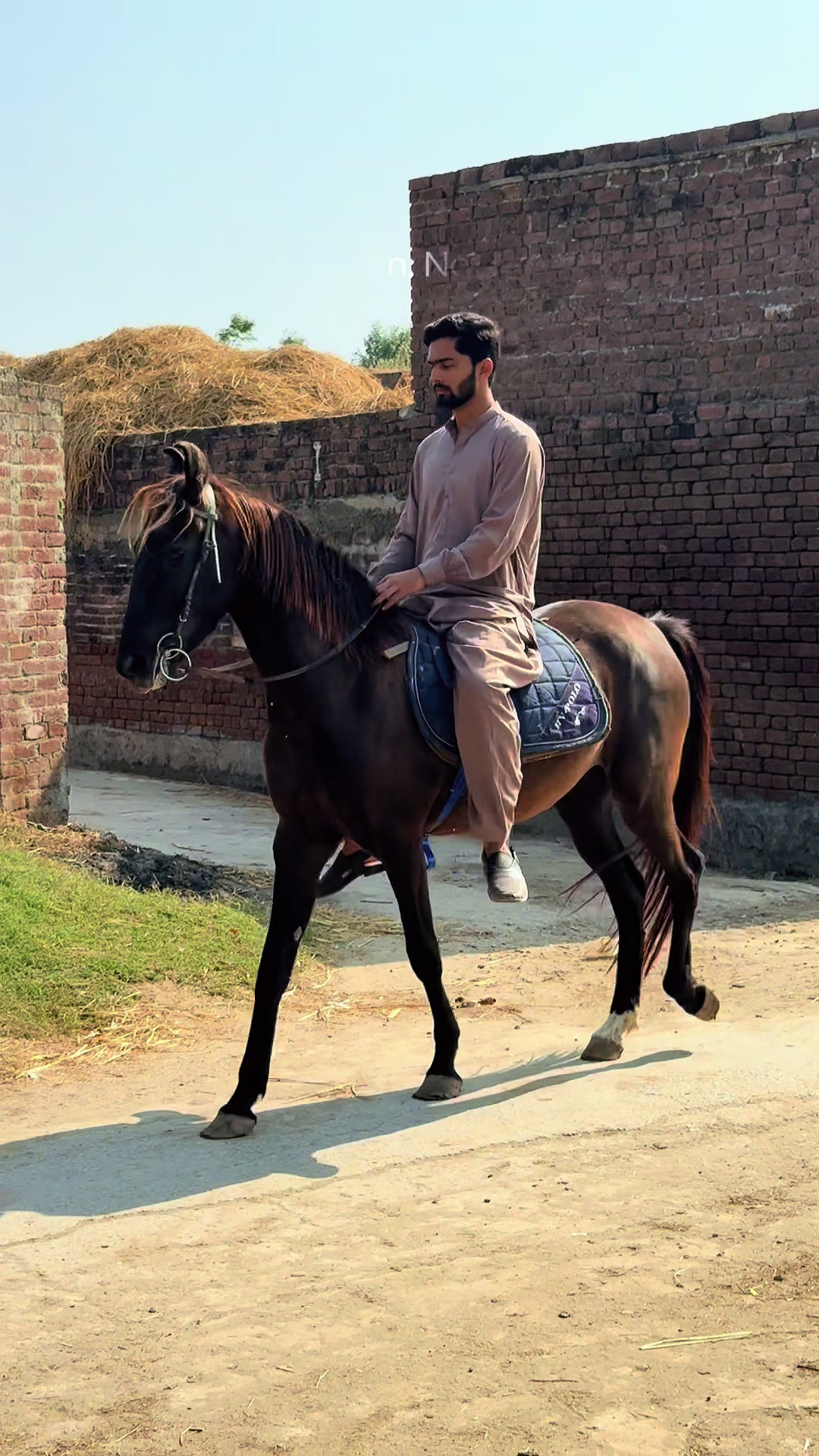 @Hayat Raza
