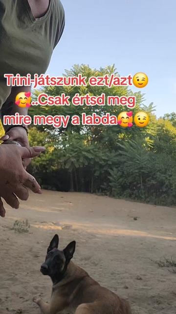 @Viki-Kutyakozmetika Másképp
