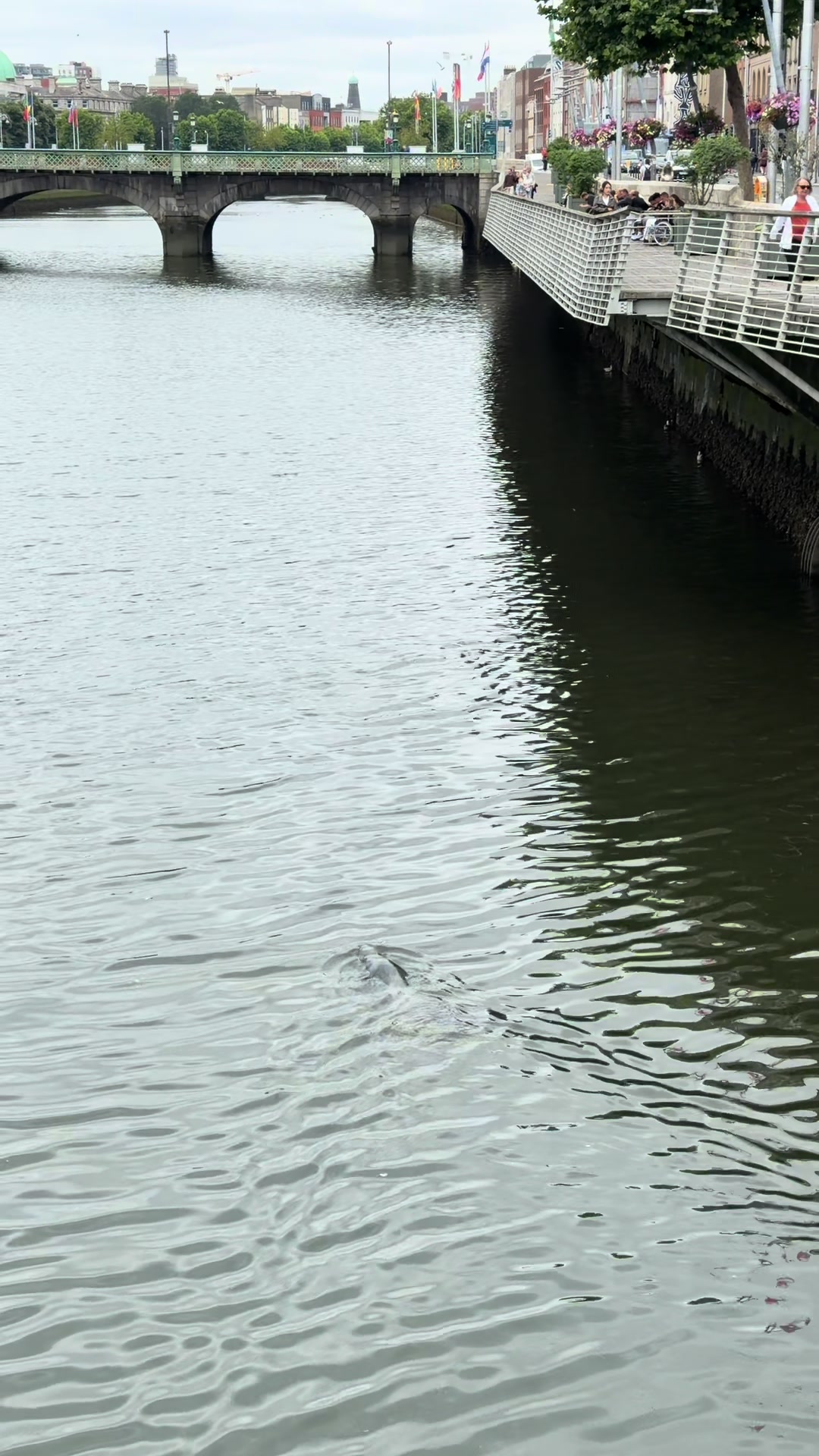 @DiscoverDublin