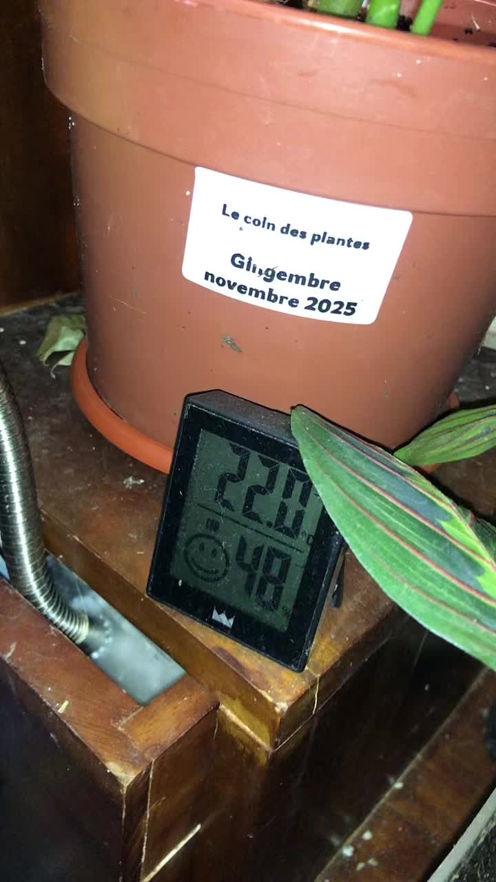 @lecoindesplantes