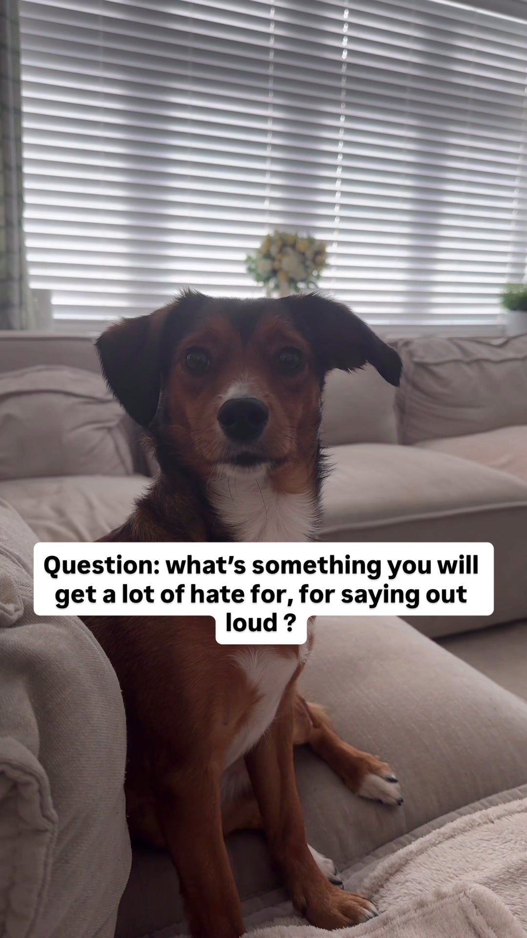@SouthendDogTraining