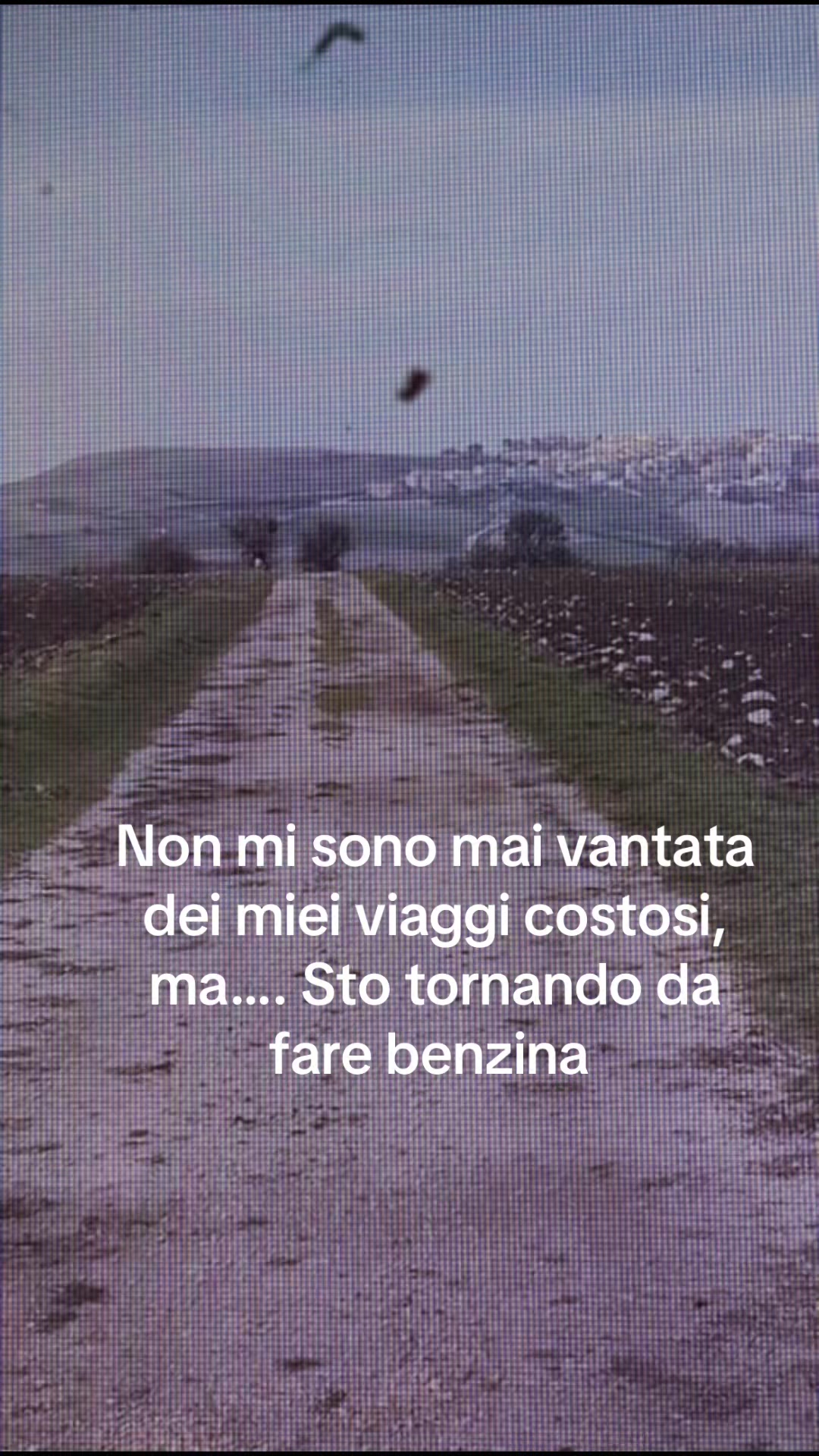 @Teresa Lapio