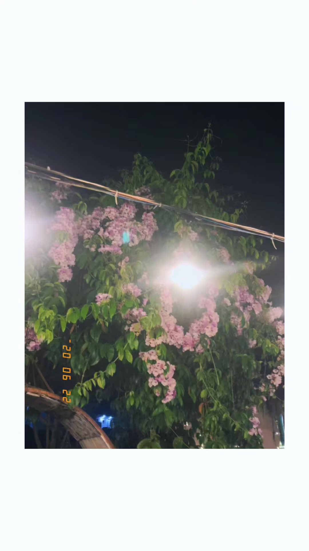 @ramita🌼🌸