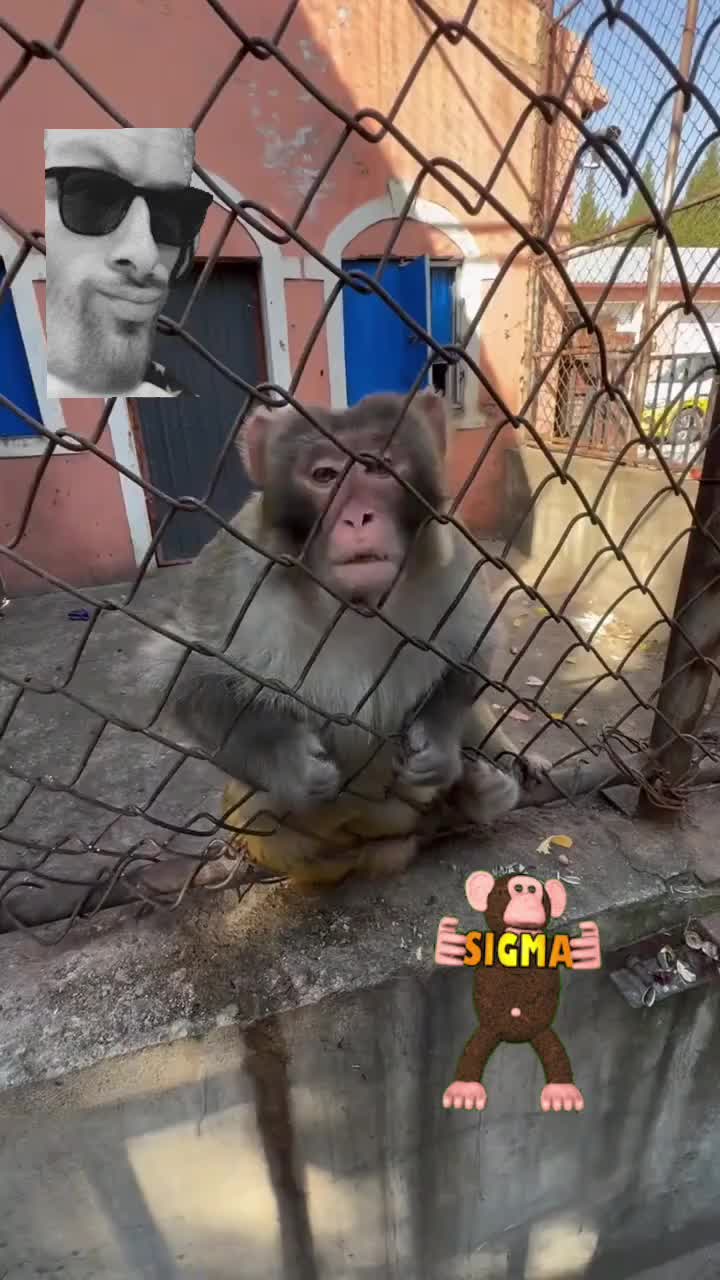 @promoting.babies